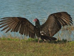 Florida_2007-2008-055